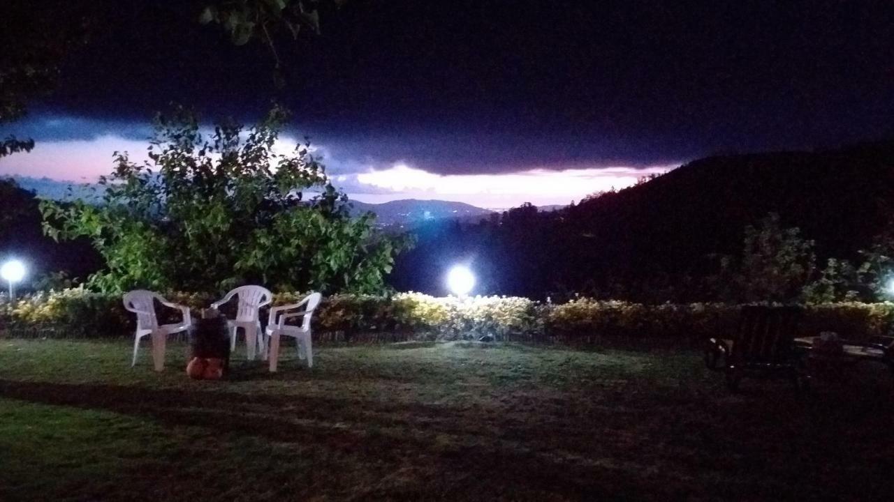 Vila Casa Da Boa Vista Em Viadal Vale de Cambra Exteriér fotografie