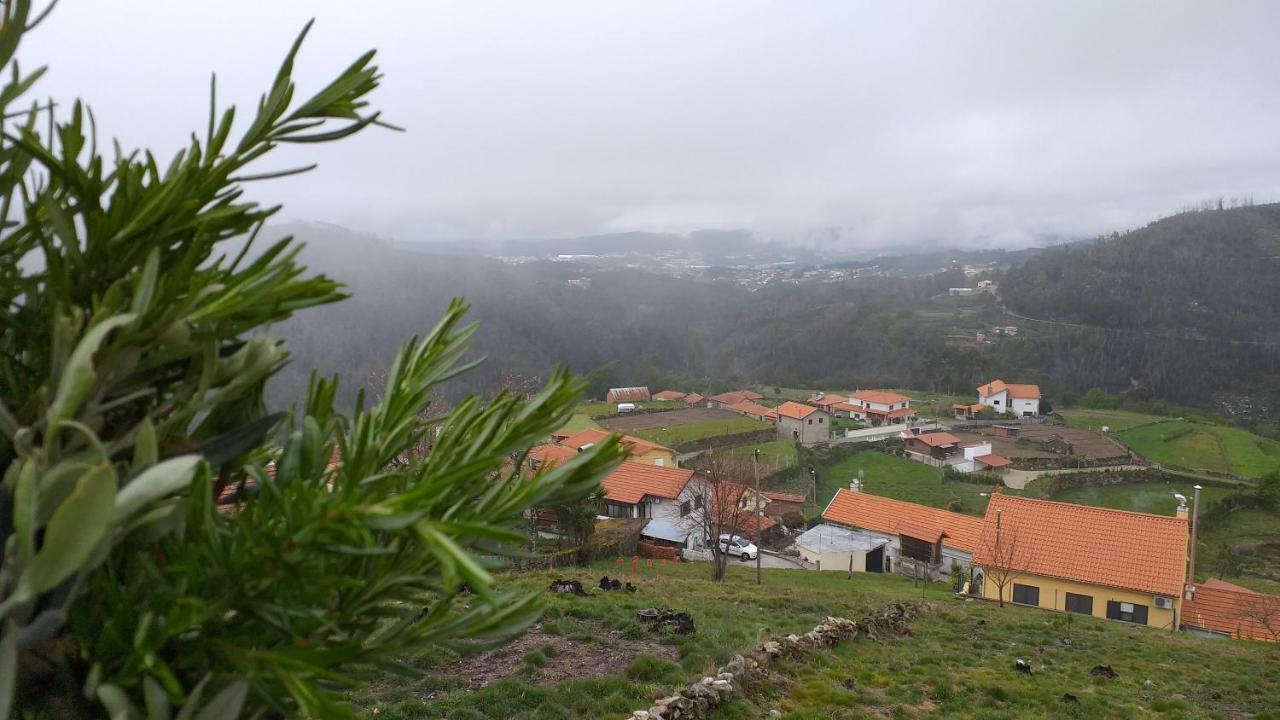 Vila Casa Da Boa Vista Em Viadal Vale de Cambra Exteriér fotografie