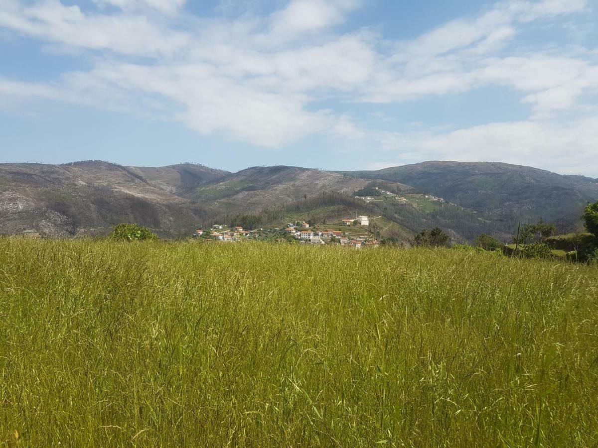 Vila Casa Da Boa Vista Em Viadal Vale de Cambra Exteriér fotografie