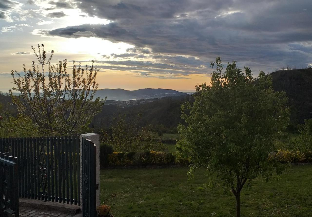 Vila Casa Da Boa Vista Em Viadal Vale de Cambra Exteriér fotografie